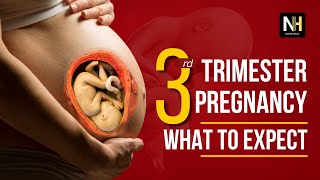 Third Trimester Pregnancy Essential Tips and Insights [upl. by Gabriel642]