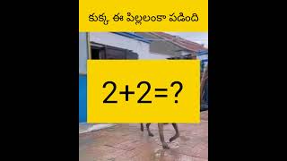 E kukka chala manchiehi telugu facts amazingfacts [upl. by Amlas]