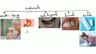 Pharmacologie  voies dadministration [upl. by Guadalupe]