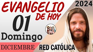 Evangelio de Hoy Domingo 01 de Diciembre de 2024  REFLEXIÓN  Red Catolica [upl. by Fancy]