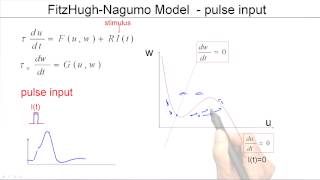 44b Firing threshold in 2D models [upl. by Ainoyek]