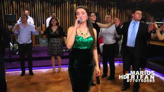 11 Revelion Restaurant Dunarea 2015  Ana Maria Oprisan colaj hore  LIVE  cover [upl. by Reace]