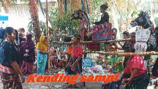 lokasi kending sampi kbg bajang girang [upl. by Salta]