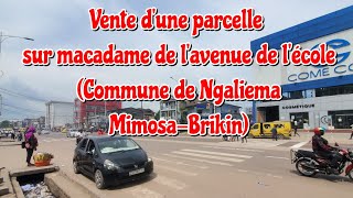 👉VENTE SUR MACADAME À KINSHASA AVEC 2 PETITES MAISONS MERCI DE NOUS CONTACTER RAPIDEMENT [upl. by Acirretahs]