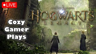 🔴 The OWLS Are Coming  Hogwarts Legacy Stream  Part 12 [upl. by Nalahs]