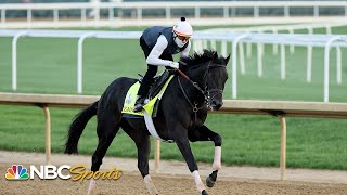 Steve Kornacki provides his analysis ahead of the Kentucky Derby  NBC Sports [upl. by Sueahccaz]