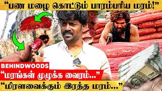 900 டன் அனுமதி செம்மரம் வளர்த்தவர்களுக்கு ஜாக்பாட்🤩 மெய்சிலிர்க்கவைக்கும் Ganesh Nursery Visit [upl. by Nymassej512]