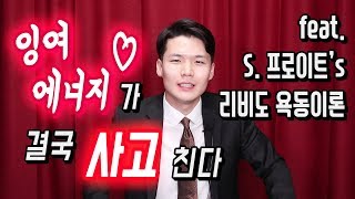 잉여 에너지가 결국 사고친다 feat 프로이트의 리비도 욕동 이론 [upl. by Tnecillim319]