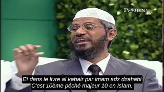 Zina La Fornification Et LadultèreUn Perspective Islamique Et Sa PunitionZakir Naik [upl. by Lasyrc208]