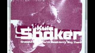 Kula Shaker  Another Life LYRICS [upl. by Kinimod]