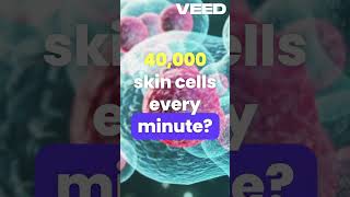 Humans shed 40000 cells per second Interesting fact  biology [upl. by Eitteb]