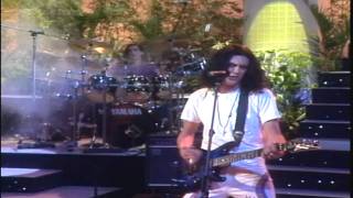 Caifanes  Los Dioses Ocultos En Vivo 1991Remasterizado HD [upl. by Burgener243]