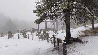 Cae nieve en el Nevado de Colima [upl. by Asinet]