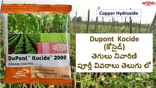 Dupont Kocide fungicide కోసైడ్ తెగులు నివారిణి in Telugu  Copper Hydroxide [upl. by Rockwell]