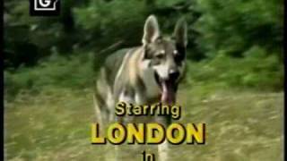 The Littlest Hobo 1982 DJ Yoda mix [upl. by Goodrich]