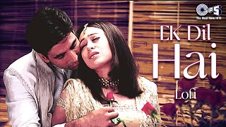 Ek Dil Hai  Lofi Mix  Ek Rishtaa  Kumar Sanu Alka Yagnik  Lofi Slowed Reverb Songs [upl. by Legir89]