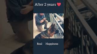 Dog 🐶 Real Happiness funny [upl. by Bledsoe]