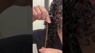 I’TS NOT PERMANENT  curly curlyhairstyles foryou hair hairgrowth fypシ゚viral afro [upl. by Keisling]