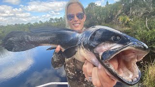 MUDFISH amp Wild Boar Trapping Catch Clean Cook Mudfish Mandalay [upl. by Tilden]