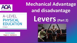 3 A Level PE Levers Part 2  Mechanical Advantage and Disadvantage [upl. by Jenda]