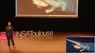 Abysses du bruit dans le monde du silence  Olivier Lascar  TEDxINSAToulouse [upl. by Reema]