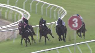 Heat 3 Doomben Jumpouts 1009 [upl. by Esirec]