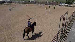 working Equitation horse show level 1 Essy [upl. by Argyres]