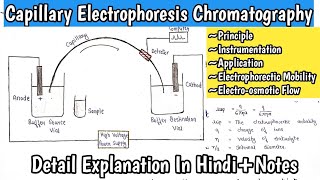 Capillary Electrophoresis Chromatography  Electrophoretic Mobility  Electroosmotic Flow MScNotes [upl. by Manthei]