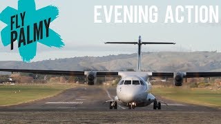 Palmerston North Airport  Arrivals amp Departures  HD Plane Spotting [upl. by Haidadej]