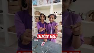 Acids amp Bases ll Litmus Test ll By Govt School Students ll GVMCHS MADHAVADHARA ll [upl. by Anassor]