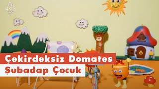 Çekirdeksiz Domates  Video  Şubadap Çocuk [upl. by Roanna821]