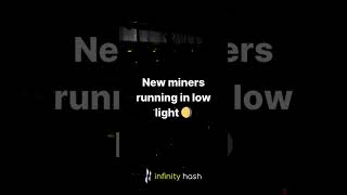 New miners running in low light 🌖 [upl. by Fonda]