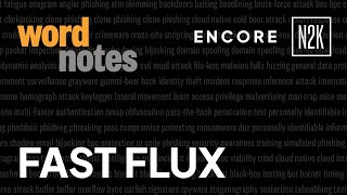 fast flux noun [upl. by Cantu]