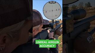 Unreal Airgun Accuracy  FX DRS Classic  Best PCP Airguns in the world  FX Airguns fxairguns [upl. by Bunting653]