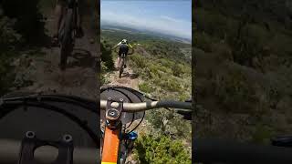 shorts 232  VTT MTB DH ENDURO RIDING [upl. by Dann]