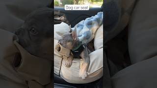 My favorite dog car seat [upl. by Luke573]