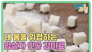 음식 사이사이 숨어있는 인공 감미료가 내 몸을 위협하는 암살자 그 이유는 MBN 230613 방송 [upl. by Aloivaf]