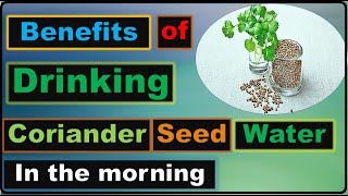 6 Benefits Of Drinking Coriander Seeds Water [upl. by Asyla207]