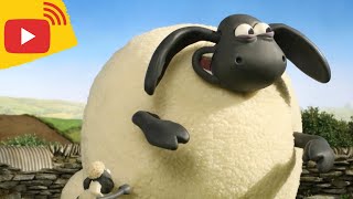 Shaun amp Friends TV Full Episodes  Cartoons for kids  Farm Animals  Brand New Stream [upl. by Ggerk]