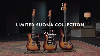 The Limited Suona Collection  Fender [upl. by Ailee]