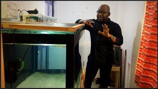 Water Cycling for a New tank  Beneficial bacteria growth Tips [upl. by Antoinette]