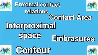 Proximal contact relationsInterproximal space Embrasurescontour of the teethالمحاضرة العاشرة [upl. by Renny]