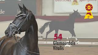 46 Glamourdale  Vitalis [upl. by Marla]