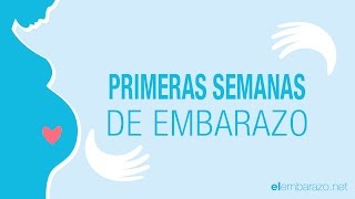 Primeras semanas de embarazo  El embarazo semana a semana [upl. by Terri823]