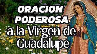 ORACION PARA PEDIR PROTECCION A LA VIRGEN DE GUADALUPE [upl. by Tanitansy639]