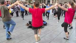 La Sardana  Danza en las calles de Barcelona [upl. by Agn]