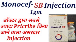 Monocef sb 1gm injection uses in hindi [upl. by Rafaellle]