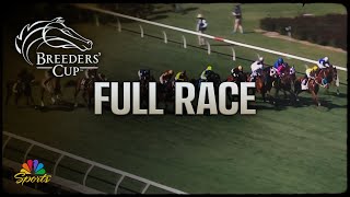 Breeders Cup 2024 TAA Stakes Full Race  NBC Sports [upl. by Eelanaj]