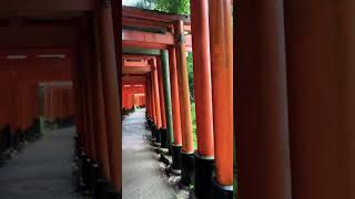 Fushimi Inari Shrine in Kyoto ⛩️ kyoto japantrip japan travel an [upl. by Galer]