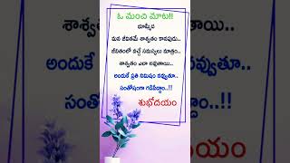 jeevithasatyaluforsuccessinlife inspirationalquotes motivation jeevitasatyalu [upl. by Alaehs943]